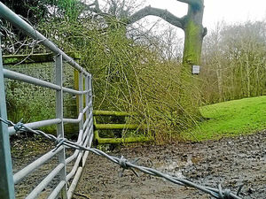 Supporting image for story: Shropshire inquiry hears why Rights of Way map should include path section