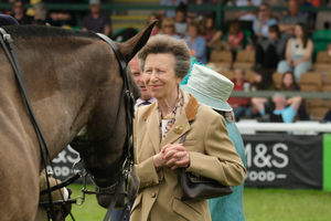 Princess Anne indulging in her passion - inspecting some of the horses on show. Image by Andy Compton