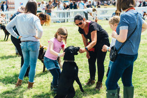 DogFest. All pictures from: https://dog-fest.co.uk/cheshire