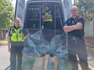 Supporting image for story: Arrest made and 50 cannabis plants seized on West Bromwich estate