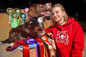 Supporting image for story: Crufts 2017: Stourbridge girl, 12, nominated for top award