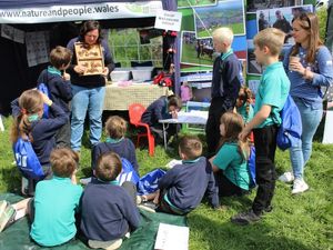 Supporting image for story: Hundreds of children inspired by farming at Mid Wales event 