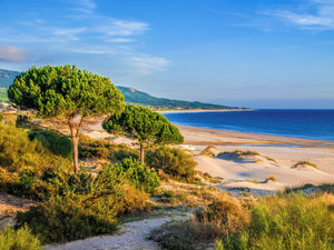 Supporting image for story: Flights to Spanish airport to start next summer from Birmingham