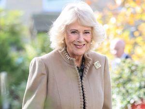 Supporting image for story: Artist ‘nearly fainted’ when she found out commission was gift for Queen