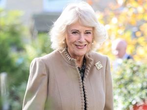 Supporting image for story: Artist ‘nearly fainted’ when she found out commission was gift for Queen