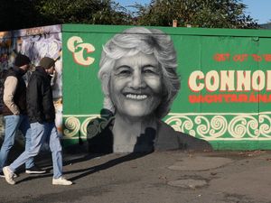 Supporting image for story: A tenant dispute, smears and solos: Key points from Irish presidential election