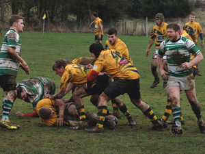 Supporting image for story: Church Stretton Samurai cut down table-topping Trentham