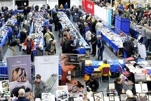 The competition area 2023