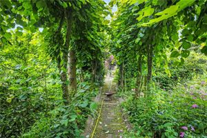 A garden area that leads to a brook, picture via: Nock Deighton and Rightmove