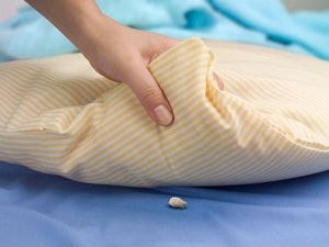 Supporting image for story: 9 times parents got played by their kids