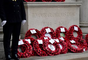 The Remembrance event at Wednesbury Memorial Gardens. Photo: Tim Thursfield