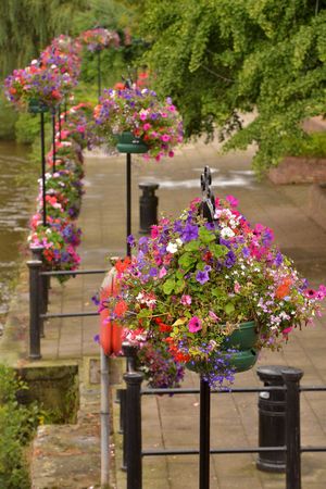 Bridgnorth's floral display