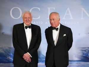 Supporting image for story: Attenborough film shows seabed ‘devastation’ says MP in bottom trawling ban call