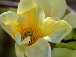 Supporting image for story: Letter: Evolution argument short of purpose, hope and evidence