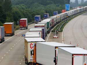 Supporting image for story: Toby Neal: There are big green elephants in the room