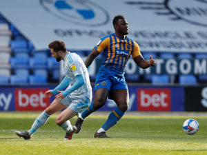Supporting image for story: Aaron Pierre: Steve Cotterill pushing Shrewsbury Town for next season
