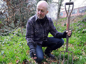 Supporting image for story: Year rings the changes as bluebells hit by cold