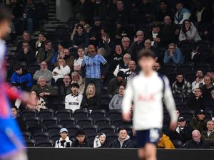 Supporting image for story: Tottenham extend season ticket deadline due to threat of relegation