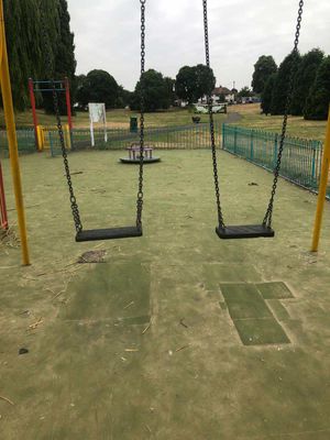 A pair of standard swings which were in place after the toddler swing was removed due to health and safety concerns. Picture Cllr Andrew Tromans free for LDRS use