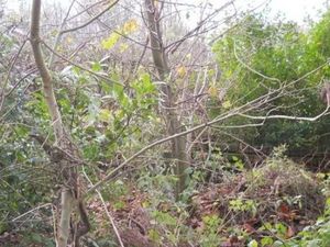 Supporting image for story: Telford plot that controversially got planning permission is now up for sale