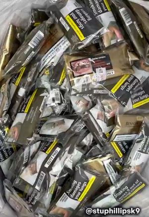 Illegal tobacco (Credit:  Stu Phillips K9/Wolverhampton Council)