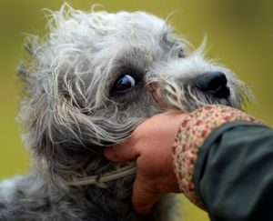 Supporting image for story