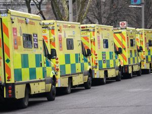 Supporting image for story: Girl, six, in ‘very serious’ condition after tree collapse