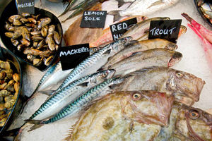 Supporting image for story: Real Life: Going from rags to fishes