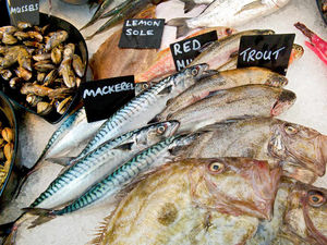 Supporting image for story: Real Life: Going from rags to fishes