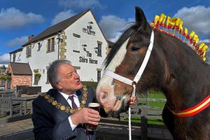 Supporting image for story