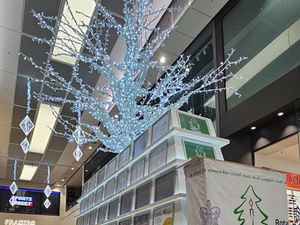 Supporting image for story: Telford Centre's Tree of Light campaign raises thousands for charity