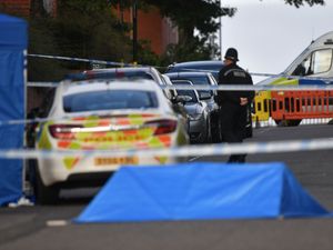 Supporting image for story: Mother of stabbing spree victim slams ‘massive’ failings after inquiry report