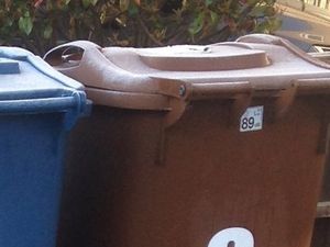 Supporting image for story: Cost of emptying garden waste bins increasing next year in Stafford 