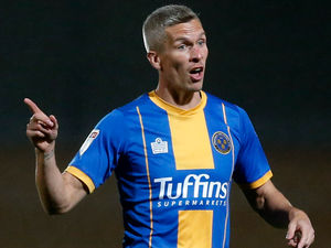 Supporting image for story: Sam Ricketts: No problems with frozen out Shrewsbury striker Steve Morison