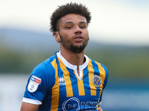 Supporting image for story: Top scorer Lee Angol is a complete centre-forward, says Shrewsbury boss John Askey