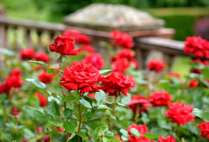Wightwick Manor in Wolverhampton