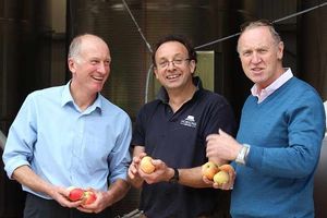 Supporting image for story: Shropshire orchard to launch apple alternative to prosecco