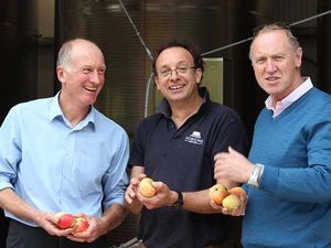 Supporting image for story: Shropshire orchard to launch apple alternative to prosecco