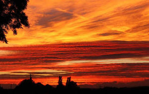 Prim Morris sent us this photo