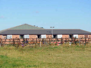 Supporting image for story: Millionaire's road is given the all-clear