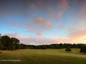 Supporting image for story: Vote for the People's Park!