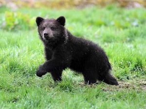 Supporting image for story: How much for cash?