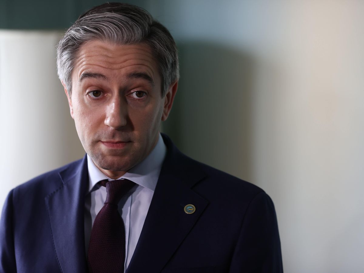 EU action on Israel is ‘overdue’, Irish deputy premier says