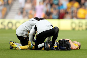 Sasa Kalajdzic suffers an ACL injury on his debut (Getty)