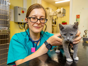Supporting image for story: Veterinary surgeon Laura shares how the PDSA helps animals at its Wolverhampton pet hospital