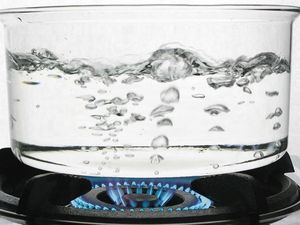 Supporting image for story: Do we finally have the answer to why hot water freezes faster than cold water?