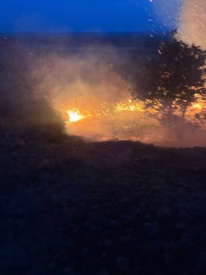 Fire teams from across the county battled a wildfire on Haughmond Hill. Picture: Tweedale Fire Station