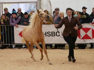 Supporting image for story: Crowds flock to first day of popular winter fair