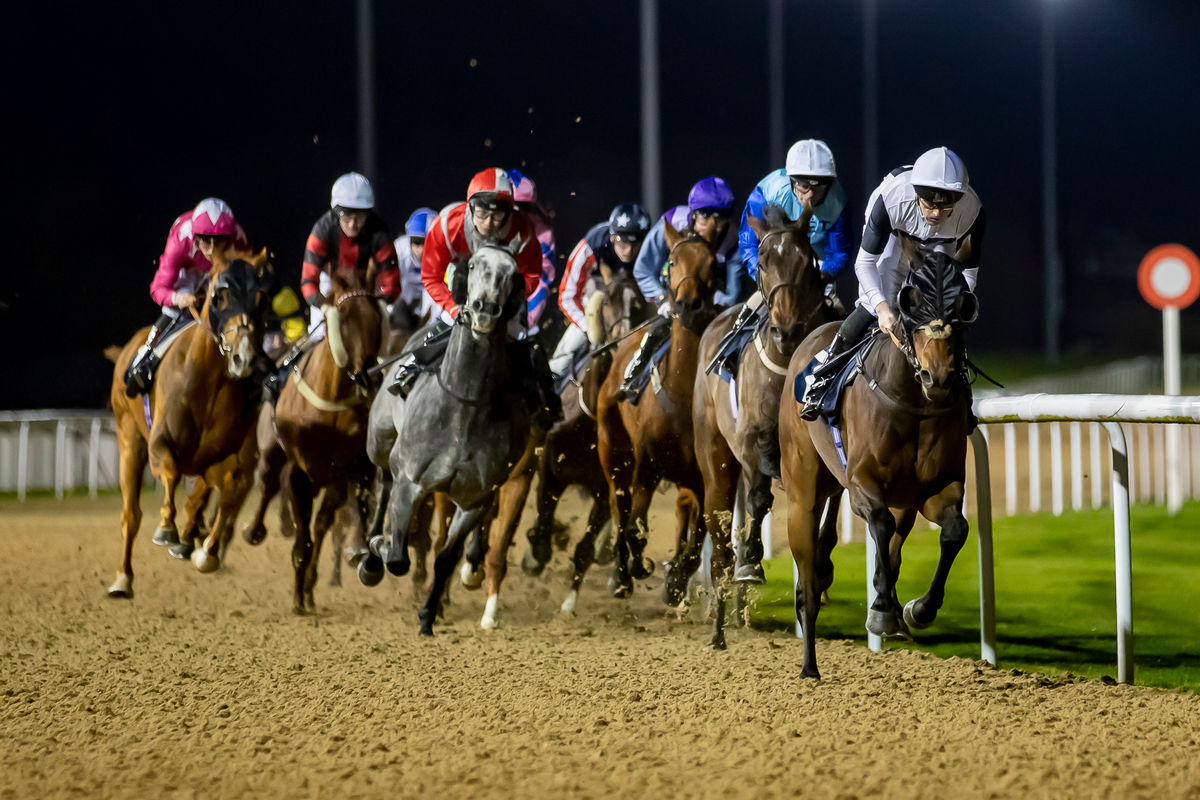 Enjoy Fantastic Festive Racing at Wolverhampton Racecourse