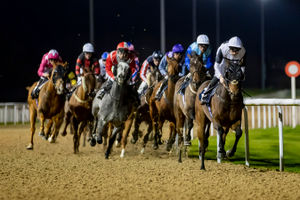 Supporting image for story: Enjoy Fantastic Festive Racing at Wolverhampton Racecourse